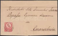 1871 Réznyomat 5kr levélen / Mi 10 on cover 'HERKULES=BAD' - Caransebes